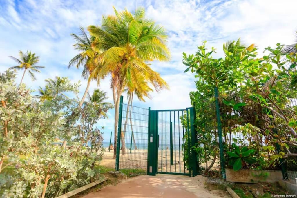 Paradis Studio & Plage A 1 Min Le Gosier  Exterior photo