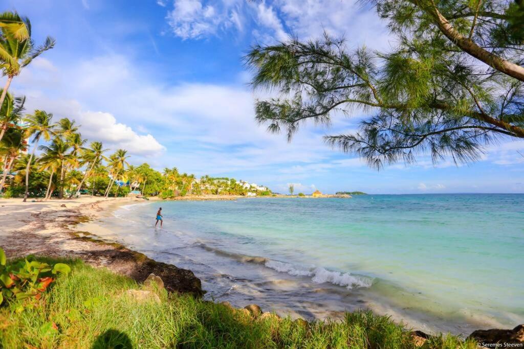 Paradis Studio & Plage A 1 Min Le Gosier  Exterior photo